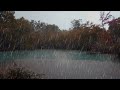 Walking in Rain in the Forest | Binaural Autumn Rain Sounds ASMR 4k France 빗소리 수면 걷방 for sleeping