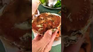 tutorial makan kepiting, gunting-gunting sebelum makan.