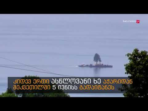 ქვეყანაში მიმდინარე აქციების ფონზე ოლიგარქი ივანიშვილი ხეებს დაათრევს