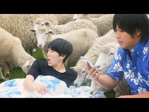 Google アプリ サマーチャレンジ 絶対寝れる動画 Youtube
