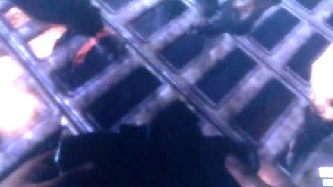 Black ops 2 TRANZIT claymore glitch