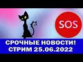 Стрим! Срочные новости!