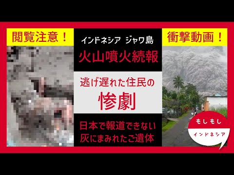日本で報道できない動画：噴火後の残酷な現場【インドネシアジャワ島の噴火続報】