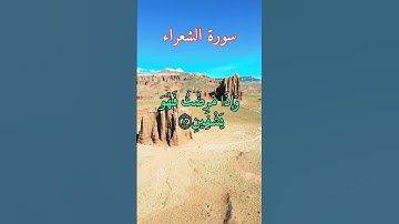 #قرآن #قران_كريم #سورة #اسلام  #سورة #تلاوة_خاشعة #تلاوات #ترند #تيك_توك #tiktok #quran #trending