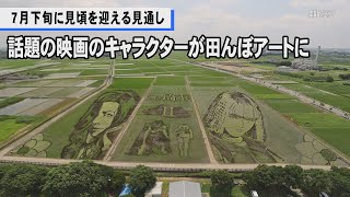 行田市で「田んぼアート」　映画「翔んで埼玉」とコラボ