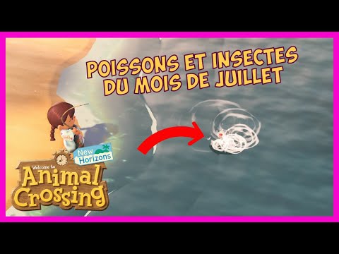 Vidéo: Nouveaux Poissons Et Insectes En Juillet: Tout Ce Qui Arrive Et Repart Ce Mois-ci Dans Animal Crossing: New Horizons