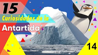15 Curiosidades De La Antártida / que te dejaran helado!!!