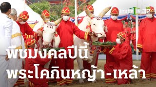 ผลเสี่ยงทาย พืชมงคลปีนี้ พระโคกินหญ้า-เหล้า | 17-05-66 | ข่าวเที่ยงไทยรัฐ