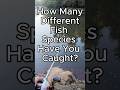 Days In A Row (Day 57) Big Spot...  #bassfishing #fishing #bass #shorts