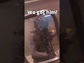 It’s time to clean house in Airsoft