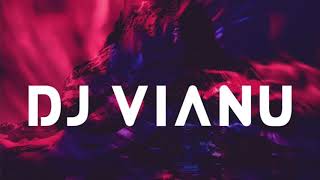 DJ Vianu - Driving Me Crazy