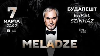 Валерий Меладзе в Будапеште 7 марта 2024 / Valeriy Meladze live @ Budapest 2024-03-07