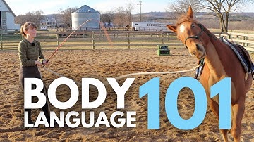HOW HORSES READ BODY LANGUAGE