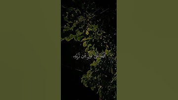 سورة الزمر:- (الآية 22) للقارئ محمد اللحيدان