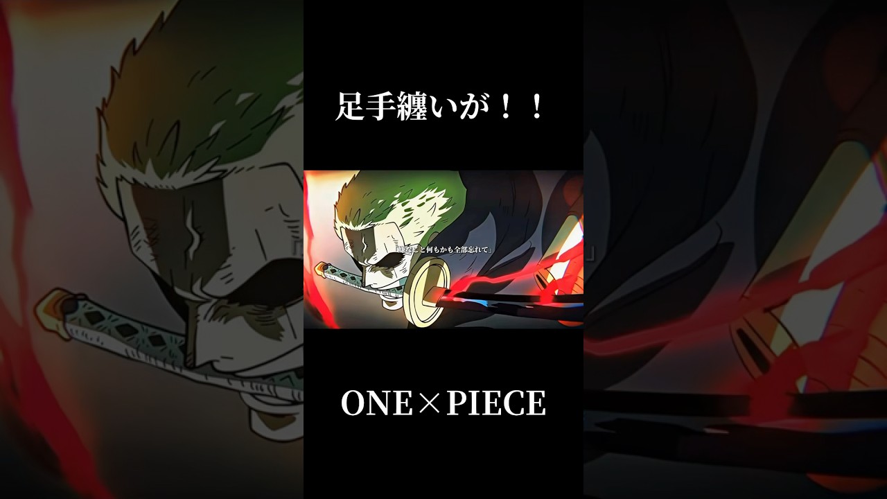 足手纏いが!!からの瞬殺はカッコ良すぎます。。#ワンピース #onepiece #ゾロ #サンジ