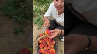 Agriculture Village Fresh Fruit #1125