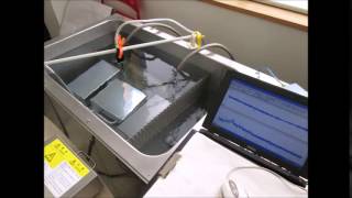 投込振動子型超音波洗浄機　Ultrasonic experiment
