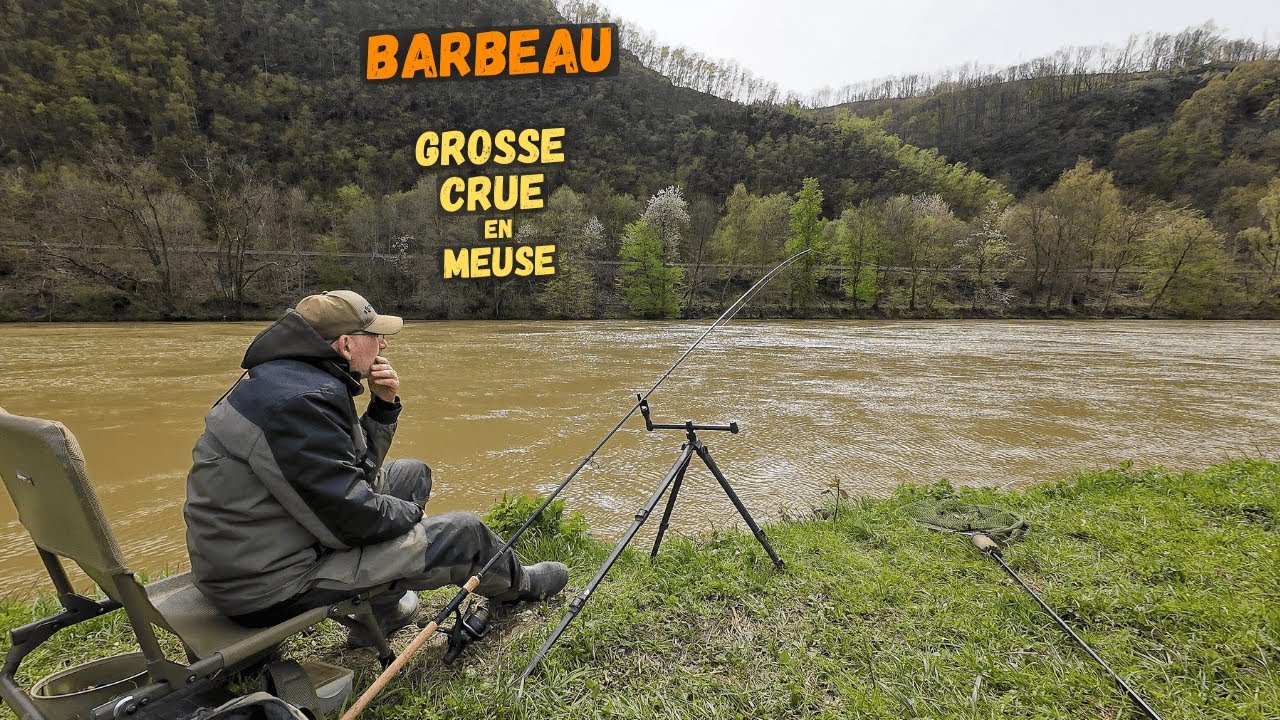 Pêche en pleine crue de la Meuse malgré le courant, un vrai défi !