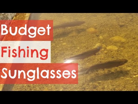 Fishoholic Sunglasses Review (On Water Testing) 