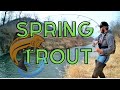 Driftless Trout Fishing | Catch and Release Trout Fishing in Southeast Minnesota