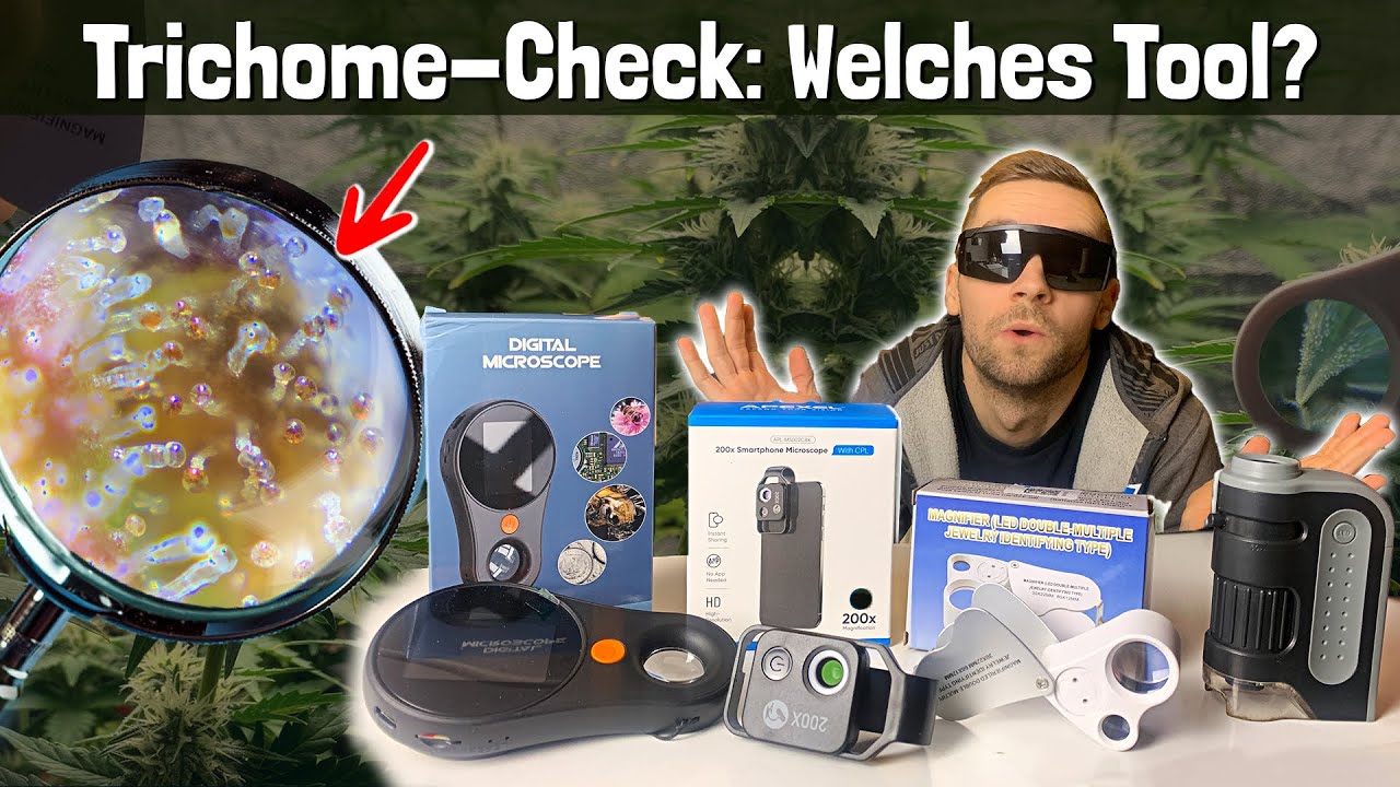 Trichome überprüfen: Die besten Tools für den perfekten Erntezeitpunkt!