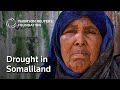 Somaliland's Climate Timebomb