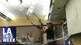 Famous Los Angeles Public Library Bubblemania Profile