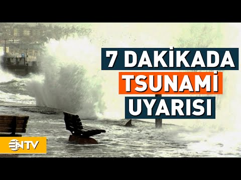 Tsunamiyi Dakikalar Öncesinden Haber Verecek | NTV