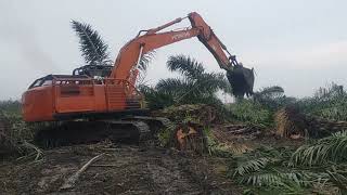 Penggusuran Tanaman Tanpa Ganti Rugi
