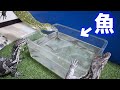 さぁ喰え!!!
