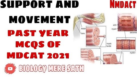 MDCAT 20-22: Support and movement Past Year MCQs according to PMC SLLAYBUS #mdcat