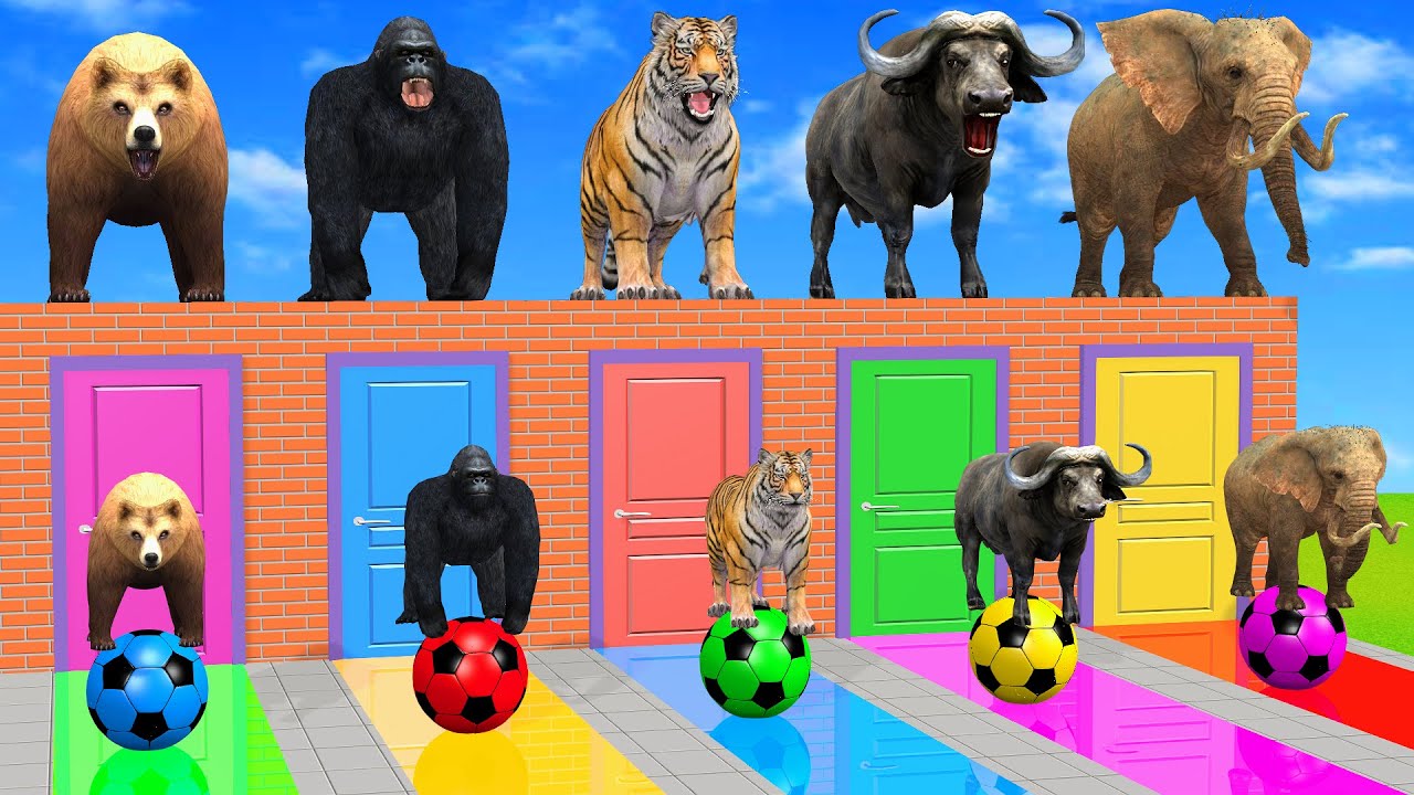 Long Slide Game with Cow Elephant Gorilla Hippopotamus Tiger 3d Animal Game Funny 3d Animals