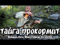 Клюнул крупный горный Хариус . Готовим рыбу на костре .