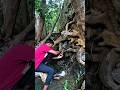 amazing cinematic vlog  #villagevlog #newcreator #viralvideo #firstvlog #publicvlog