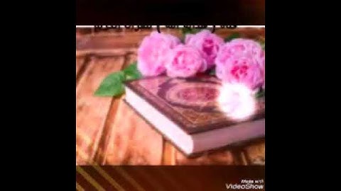 سورة الضحئ بصوت الشيخ أحمد العجمي حالات واتساب