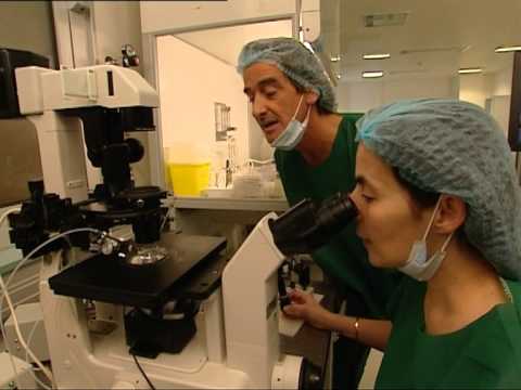Video: In vitro pas salpingektomisë dypalëshe?