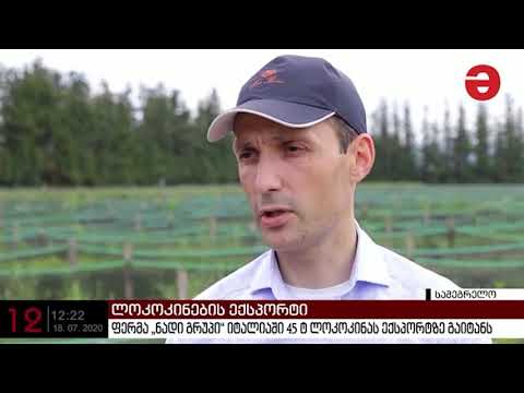 2017 წელს, ხობის მუნიციპალიტეტის სოფელ ახალ ხიბულაში ლოკოკინების ფერმა „ნადი გრუპი“ აშენდა