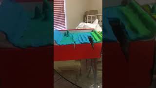 Earth Science Ocean Floor Diorama
