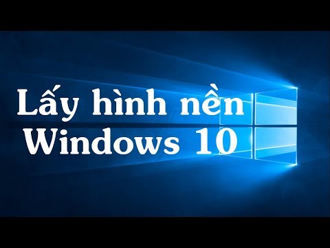 Thủ thuật windows 11: Hình nền trong máy tính windows lưu trữ ở đâu?
