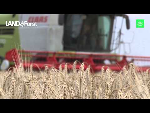 Hofreport aus Niedersachsen: