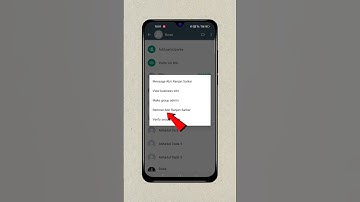 How To Remove Someone From WhatsApp Business Group #shorts