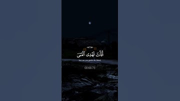 "أفأنت تهدي العُمي؟ 💔 | #قرآن #تلاوة_خاشعة #راحة_نفسية #عبدالرحمن_مسعد #اكسبلور #تابعوني #لايك