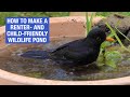 How to make a wildlife pond in a pot | Nature Break