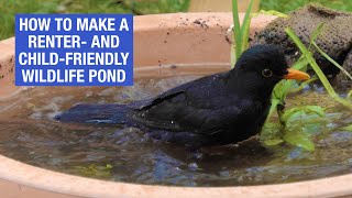 How to make a wildlife pond in a pot | Nature Break by Sally Le Page 60,645 views 4 years ago 10 minutes, 13 seconds