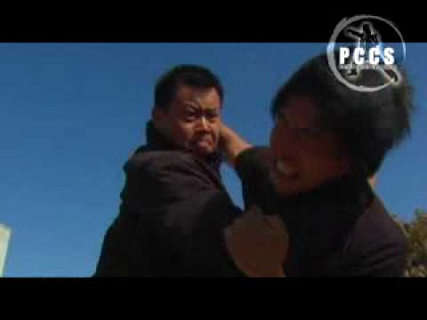 Master Lijun Wang Trailer MUST SEE!!!