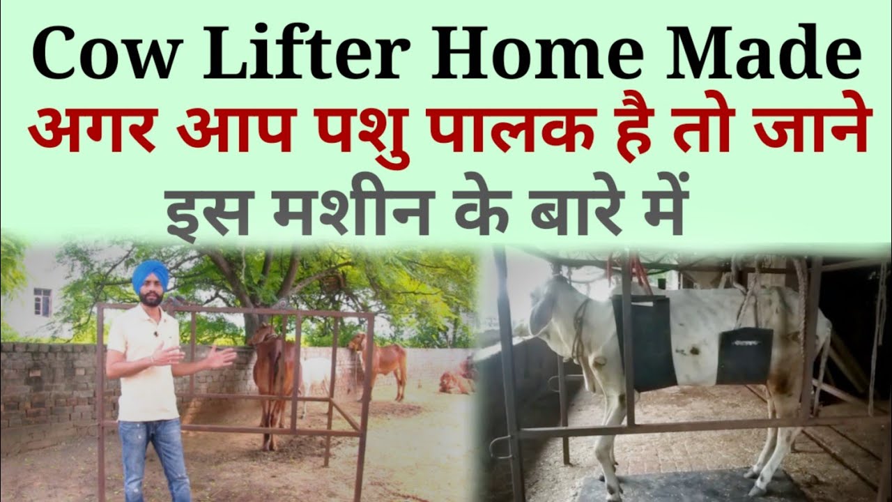 Cow lifter Home Made Machine HD 
