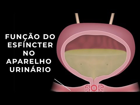 Vídeo: Onde está o esfíncter da bexiga?