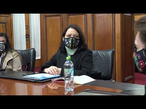 PODER JUDICIAL Y MINISTERIO DE LA MUJER COORDINAN ACCIONES CONTRA LA VIOLENCIA HACIA LA MUJER