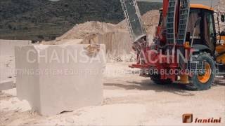 Chain Saw Machines equipped on Terna Fantini HD