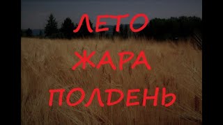 Лето. Жара. Полдень.